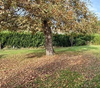  Maison � vendre 4 pi�ces 138 m�