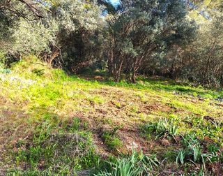  Terrain � vendre 442 m�