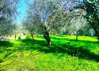  Maison 6 pi�ces 115 m� Draguignan