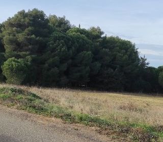  Terrain � vendre 350 m�