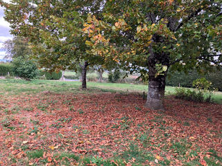  Terrain � vendre 1000 m�