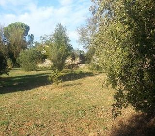  Terrain � vendre 880 m�