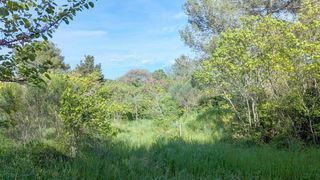  Terrain � vendre 500 m�