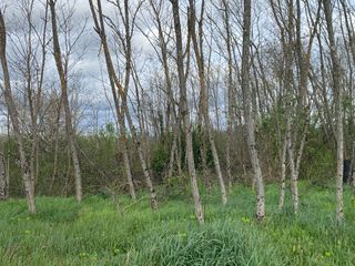  Terrain � vendre 750 m�