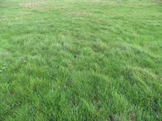  Terrain � vendre 266 m�