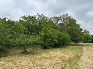  Maison � vendre 3 pi�ces 80 m�