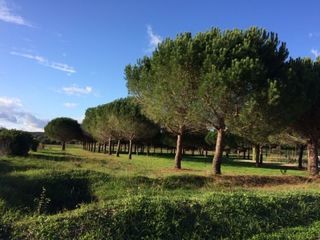  Maison � vendre 6 pi�ces 112 m�