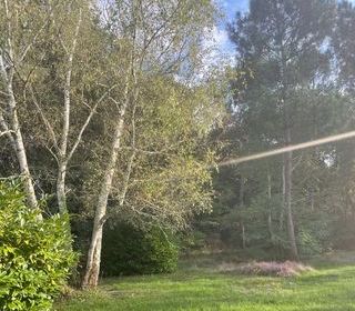  Terrain � vendre 420 m�