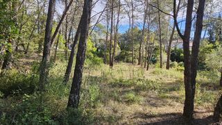  Terrain � vendre 1516 m�