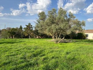  Terrain � vendre 302 m�