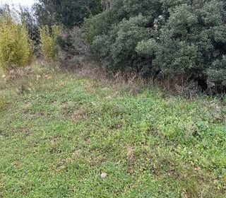  Terrain � vendre 476 m�