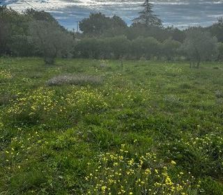  Terrain � vendre 720 m�