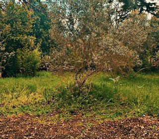  Maison � vendre 5 pi�ces 92 m�