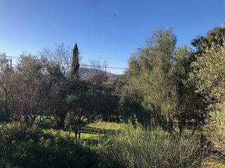  Terrain 870 m� Carnoules