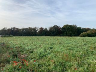  Terrain � vendre 200 m�