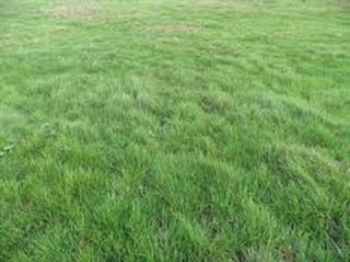  Terrain � vendre 600 m�