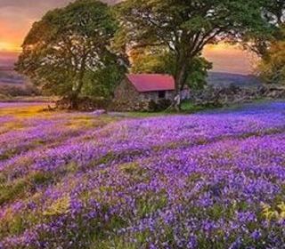  Terrain � vendre 500 m�