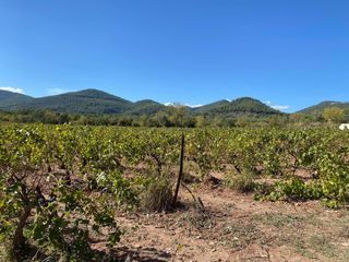  Maison 4 pi�ces 81 m� Le castellet