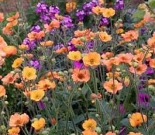  Maison � vendre 6 pi�ces 150 m�