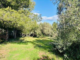  Terrain � vendre 790 m�