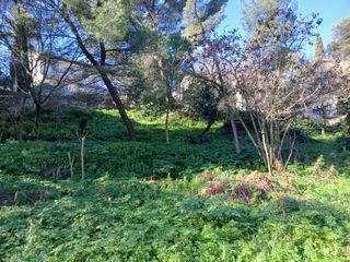  Terrain � vendre 1126 m�