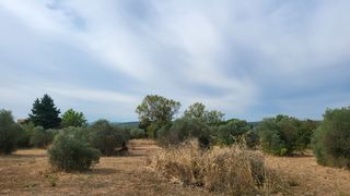  Terrain � vendre 2500 m�