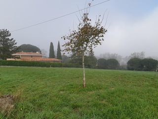  Maison � vendre 5 pi�ces 130 m�