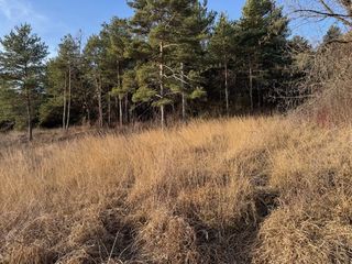  Terrain � vendre 382 m�