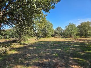  Terrain 503 m� Seysses