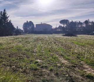  Terrain � vendre 442 m�