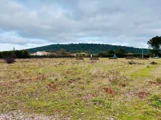  Terrain � vendre 1265 m�