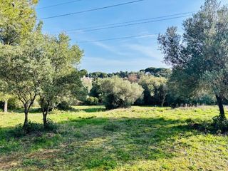  Terrain � vendre 769 m�