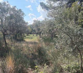  Terrain � vendre 1060 m�