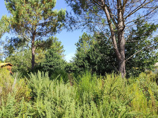  Terrain � vendre 750 m�