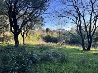  Maison 5 pi�ces 113 m� Grasse