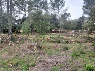  Maison � vendre 3 pi�ces 70 m�