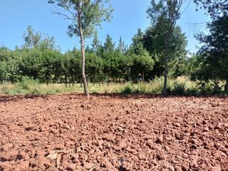  Terrain � vendre 278 m�