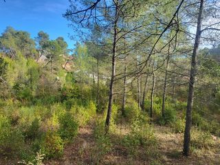  Terrain � vendre 620 m�