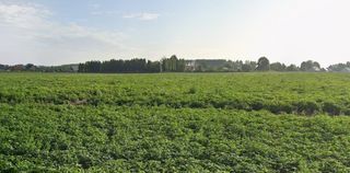  Terrain � vendre 321 m�