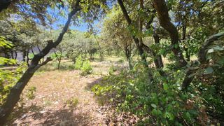  Maison 5 pi�ces 130 m� Bourg-saint-and�ol