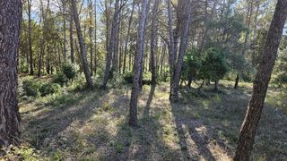  Terrain 1409 m� Bagnols-en-for�t