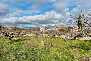  Terrain 711 m� La farl�de