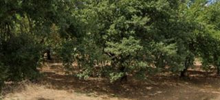  Terrain � vendre 651 m�