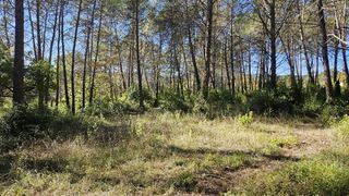  Terrain 1409 m� Bagnols-en-for�t