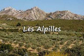  Terrain � vendre 325 m�