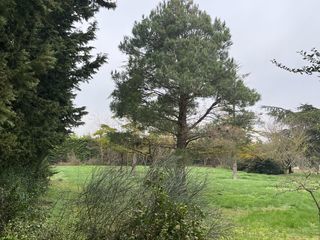  Terrain � vendre 783 m�