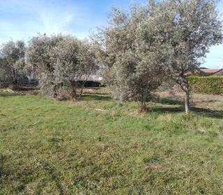  Maison 5 pi�ces 93 m� Oraison