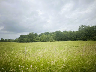  Terrain � vendre 445 m�