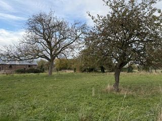  Maison 4 pi�ces 70 m� Masny