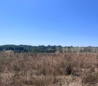  Terrain � vendre 338 m�